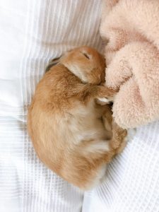 うららママさん家のうららくん