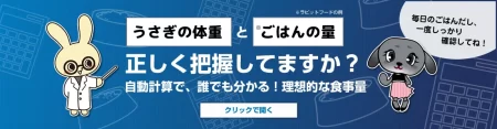 新機能追加のお知らせ