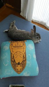 ホーキに乗った天使さん家の天ちゃん