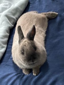 アクアリウムさん家の蘭丸ちゃん