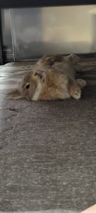 なぎままさん家のなぎくん