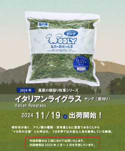 出荷情報　イタリアンライグラスヤング