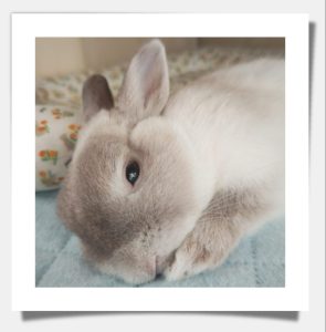 三橋さん家の陽太くん