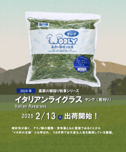 出荷情報　イタリアンライグラスヤング