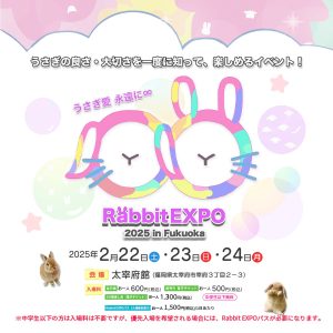 Rabbit EXPO in福岡に出店します