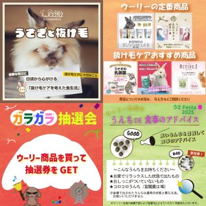 うさフェスタ2025春に出店します