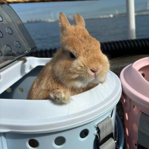 はるさん家のもんくん