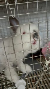 Erikaさん家のののくん