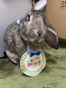 ゆうきさん家のミロくん